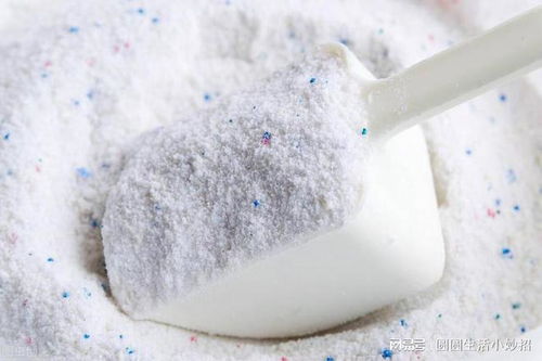 家里有螞蟻不用開水燙,教你4個(gè)妙招,螞蟻不敢來(lái)你家,安全管用