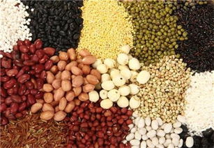 我國農產品期貨市場發展現狀