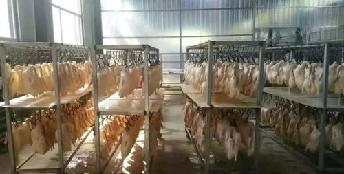 2011年 黑心烤鴨 團伙落網,成本不足5元月售萬只 自己不敢吃